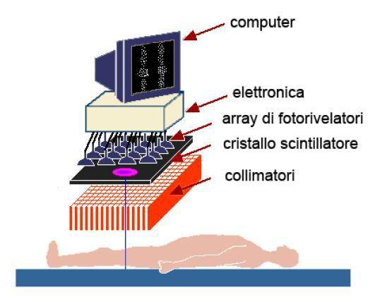 Applicazione della gamma camera HICAM in sperimentazione clinica Capitolo 1 La gamma camera, introdotta nel 1958 da Hal Anger, ha subito un processo di evoluzione continua che ha portato dai primi