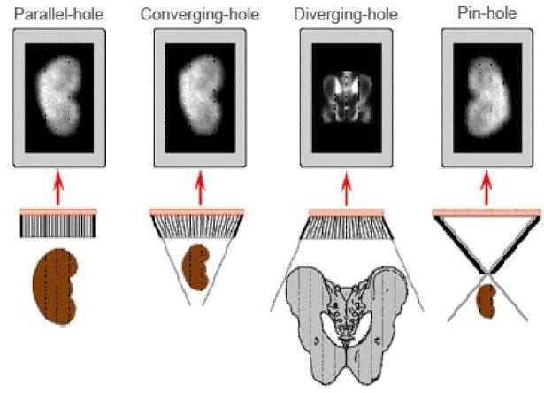 Applicazione della gamma camera HICAM in sperimentazione clinica Capitolo 1 sono difatti emessi in modo isotropo, d altra parte la gamma camera determina solo il punto di incidenza ignorando la