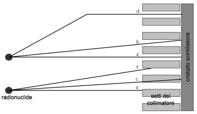 Applicazione della gamma camera HICAM in sperimentazione clinica Capitolo 1 Figura 1.