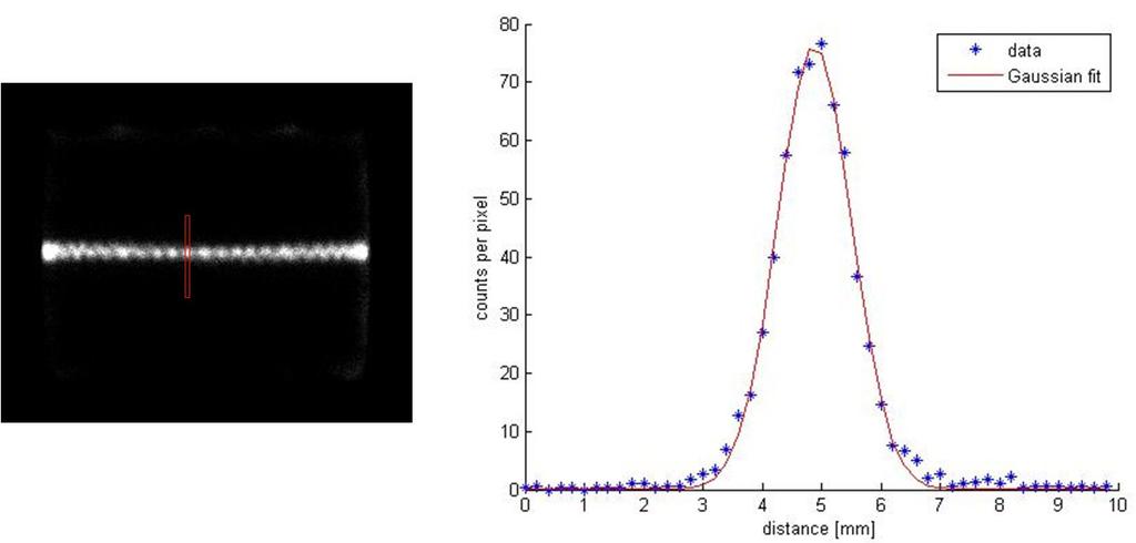 Applicazione della gamma camera HICAM in sperimentazione clinica Capitolo 4 4.3.