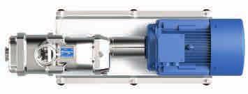 La pompa WANGEN Twin è particolarmente adatta per il pompaggio di fluidi gassosi e