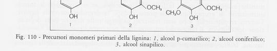 delle sostanze umiche;