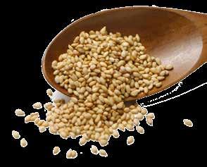 SEMI DI SESAMO I semi sono considerati un toccasana per la salute cardiovascolare anche grazie al contenuto di lignani,