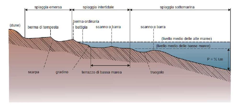 La conformazione del