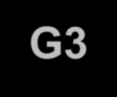 G3-GNRAC Quartiere
