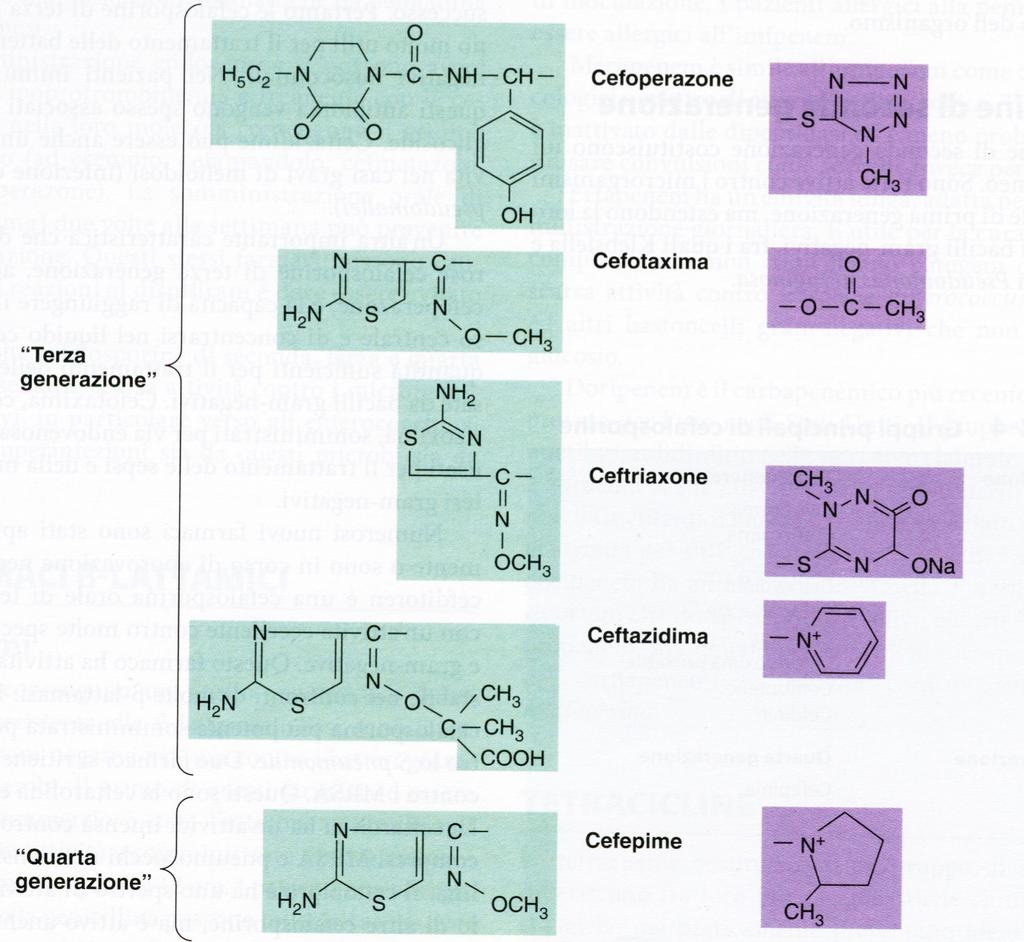 CEFALOSPORINE &nucleo cefemico &diverse generazioni 1a & 4a generazione %