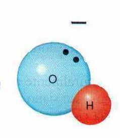 Il processo con cui l acqua si ionizza è detto autoionizzazione, poichè due molecole di acqua identiche reagiscono per dare ioni: H 2 O(l) + H 2 O(l) H 3 O +