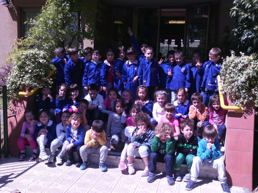 L inizio Nel primo incontro con i bambini della scuola dell infanzia di Bozzano è stata fatta un indagine su un totale di 40 alunni per sapere quali animali del prato avessero