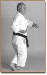 Kyougi Kai). Il 17 marzo 1993, a Osaka, in Giappone, Kenei Mabuni sensei ha contribuito a stabilire la Federazione mondiale Shito-ryu Karate-do e venne nominato esso di "governatore" (Sosai).