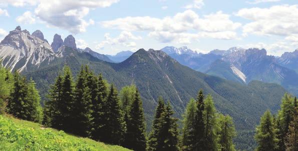 GIOVEDI 17 AGOSTO Escursiones torica al Col del Turno sul Monte Rite Dalla località Quattro Tabià (1423 m) sotto il Passo Cibiana, saliamo a Forcella Val Inferna (1748 m) e da qui per traccia