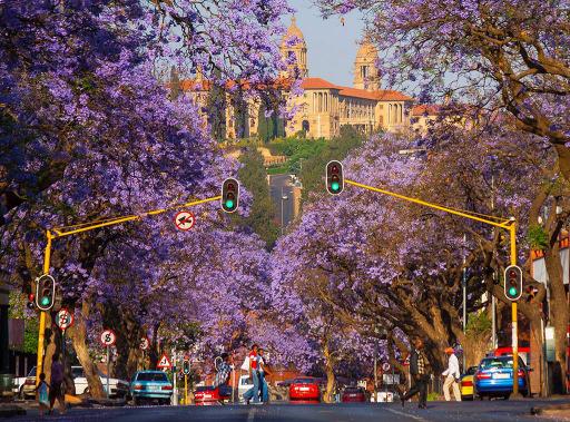 Successivamente inizierete la vostra esperienza sudafricana con una breve visita della città di Pretoria.