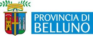 Mercato del lavoro in Provincia di Belluno: aggiornamento al 31/12/20 1.