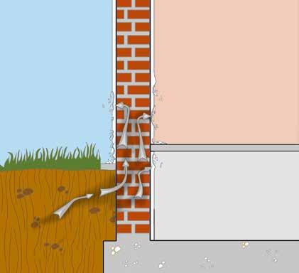 efflorescenze, fino a provocare lo sfarinamento ed il distacco dell intonaco dovuti all accrescimento volumetrico dei cristalli stessi all interno dei micropori degli intonaci.