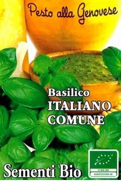 Si usano le foglie come condimento o per preparare il pesto viola. Ideale per coltivazione in vaso e su balcone.