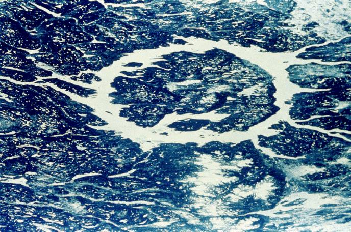 Lago di Manicouagan (Quebec, Canada) diametro: 100 km;