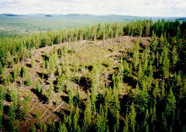 Tunguska