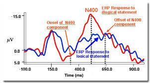 POTENZIALI EVENTO-RELATI N400 =