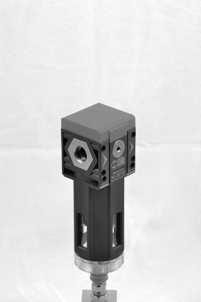 DEPURATORE Il compito del filtrodepuratore è quello di separare con un alto grado di efficienza le particelle di liquidi e solidi dispersi nell aria compressa.