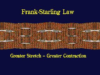 Legge di Frank Starling Illustra la