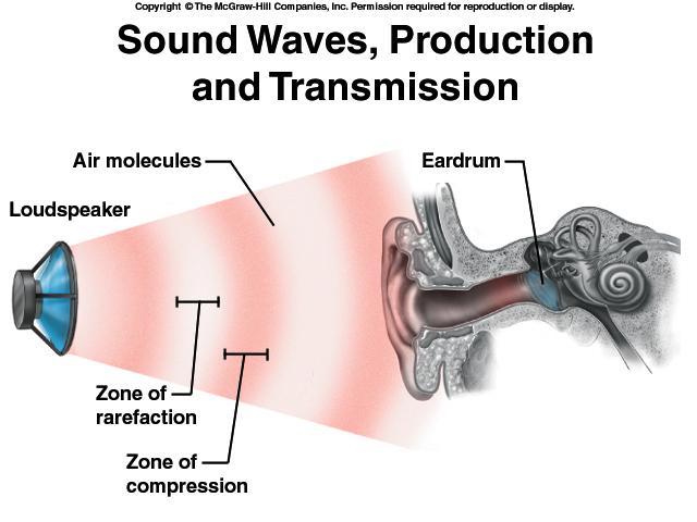 COSA E UN SUONO: Onde meccaniche generate dal movimento delle molecole d aria.