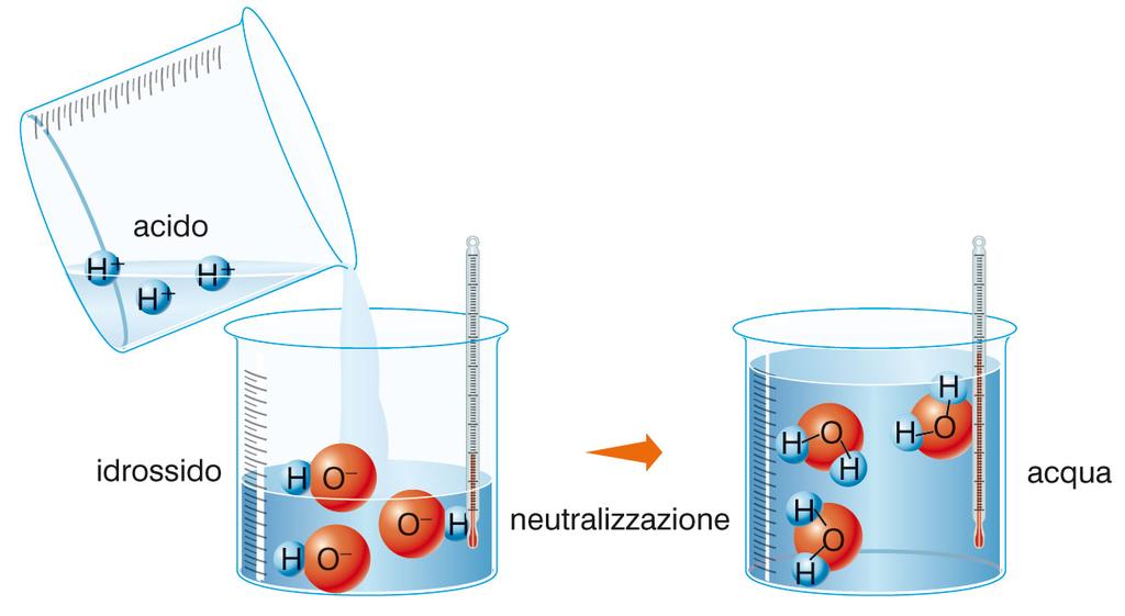 Le reazioni di doppio scambio (III) Nelle reazioni di neutralizzazione tra una acido e