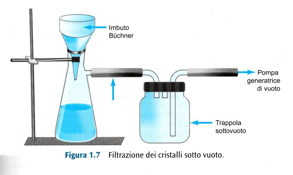 ritagliare e posizionare il filtro di cellulosa all interno dell imbuto prescelto; inumidire il filtro con il solvente; azionare
