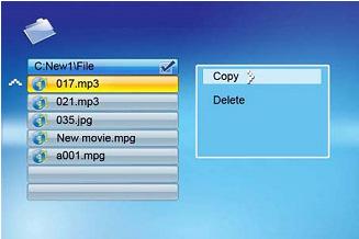 2.4.1 Copiare i File Creare una cartella auto_copy su una chiavetta USB 2.0.