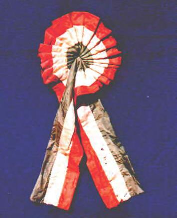 L esposizione delle Bandiere La coccarda, primo simbolo dell unità nazionale da cui originò il Tricolore Una delle prime coccarde utilizzate dagli studenti bolognesi nei moti del 1794 è conservata