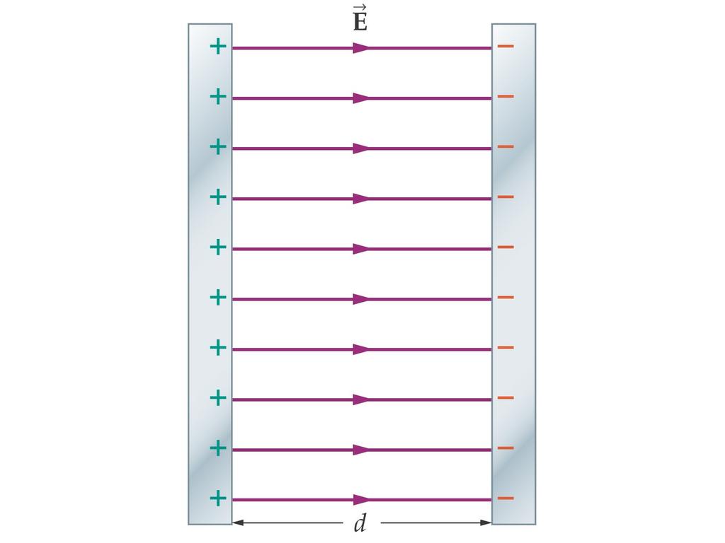 5. Le linee del campo elettrico Un condensatore a facce piane parallele è formato da