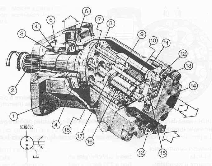 Motori