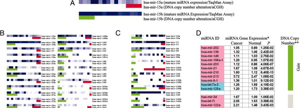 Correlation analysis between DNA copy number alteration and mirna expression. Zhang L et al. PNAS 2006;103:9136-9141 Correlation analysis between DNA copy number alteration and mirna expression.