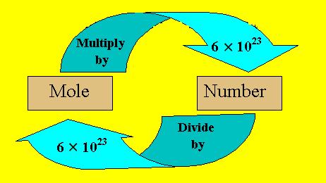 12 1000 Dozzina Numero Migliaio Numero 12 1 dozzina = 12 oggetti 2 dozzine = 24 oggetti ½ dozzine = 6 oggetti 1/3 dozzine = 4 oggetti 1000 1 migliaio