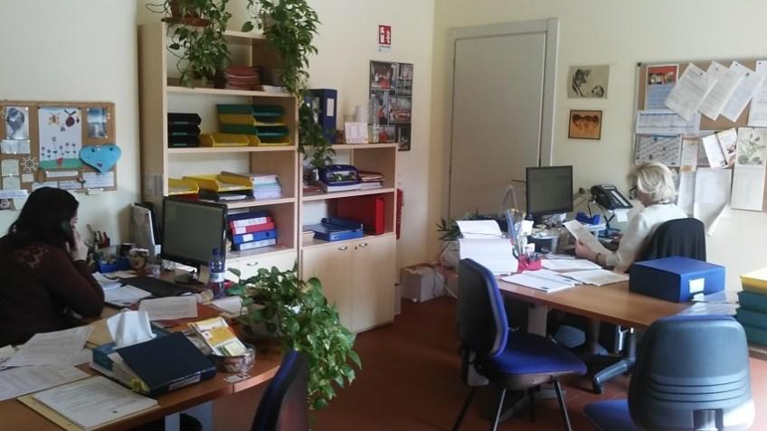 Cosa comprende oggi il Centro famiglia del Comune di Bergamo L ufficio iscrizioni asili nido (informativo e