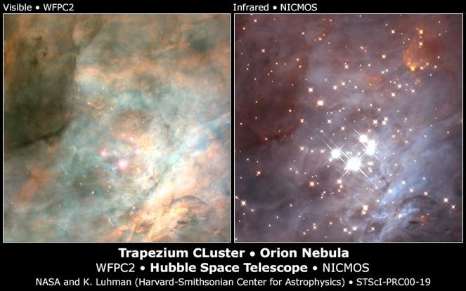 Nane marroni Sono stelle mancate (analoghe a Giove). La temperatura del nucleo non è sufficiente ad innescare le reazioni di fusione nucleare. Masse ~10-80 MGiove (MGiove ~ 0.001 M ).