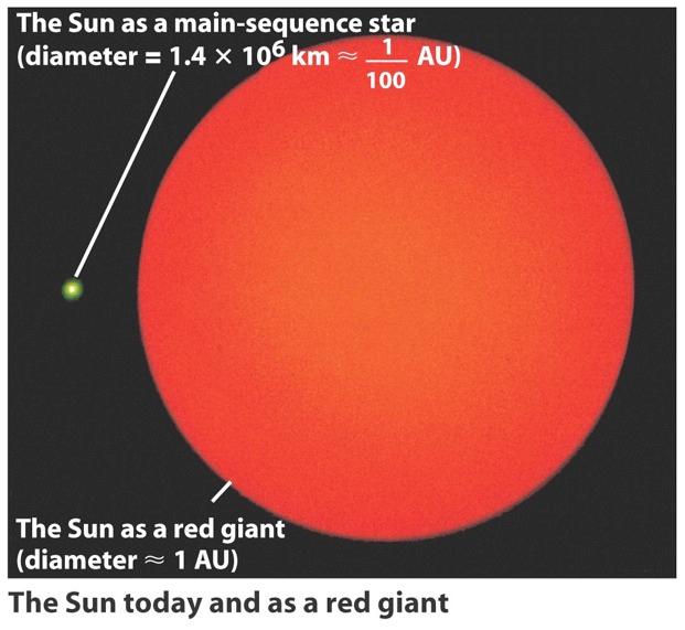 Il Sole come Gigante Rossa Il Sole si trova circa a metà della sua vita sulla sequenza principale.