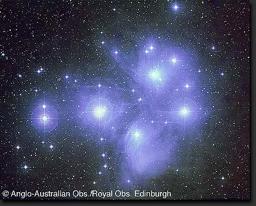 NGC 2264 Età: 10 6 y giovane Le stelle