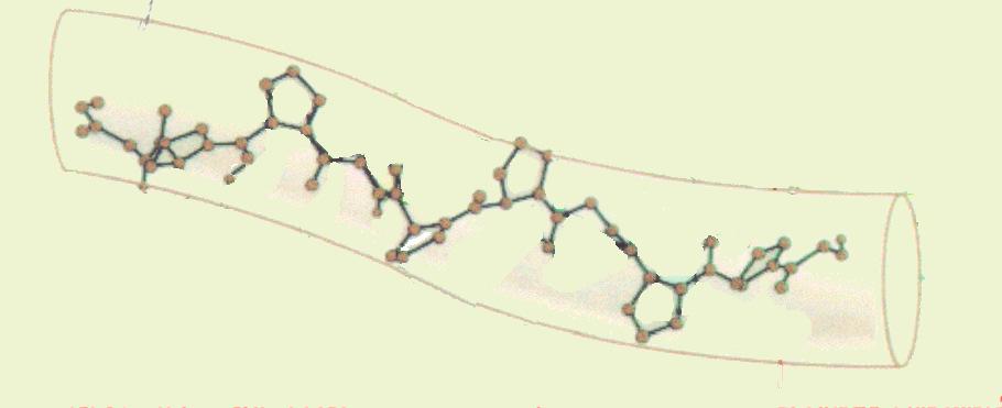 Struttura del collagene Struttura 2 a : Le catene di procollagene assumono una conformazione elicoidale definita poliprolina di tipo II