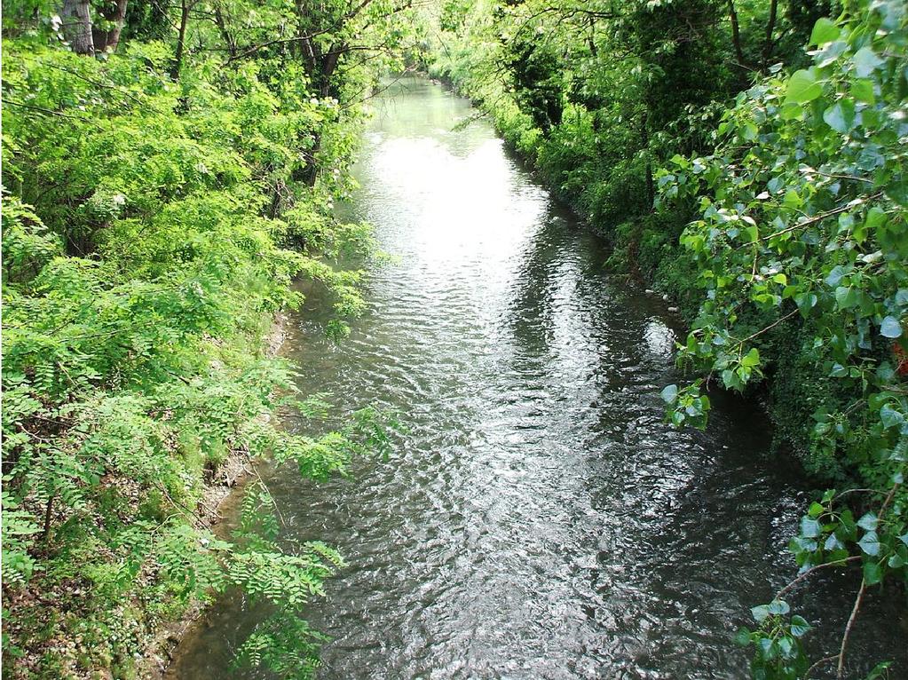 Navile Il canale Savena è stato per molto tempo uno dei canali più importanti serviva per la