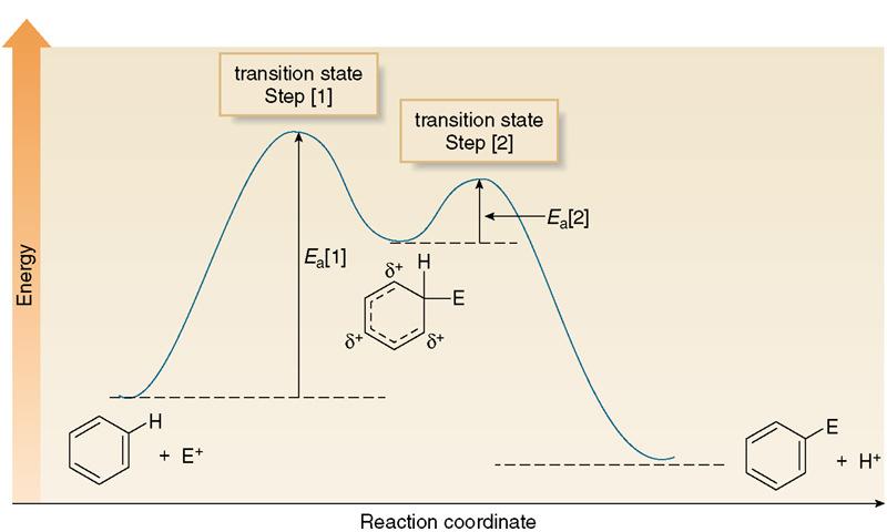 Energie di reazione G Il processo globale è esotermico Alogenazione Nell alogenazione, il benzene reagisce con Cl 2 o Br 2 in presenza di un acido di Lewis come catalizzatore, come FeCl 3 o FeBr 3, e