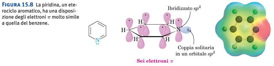 Aromaticità in composti eterociclici La piridina, un eterociclo