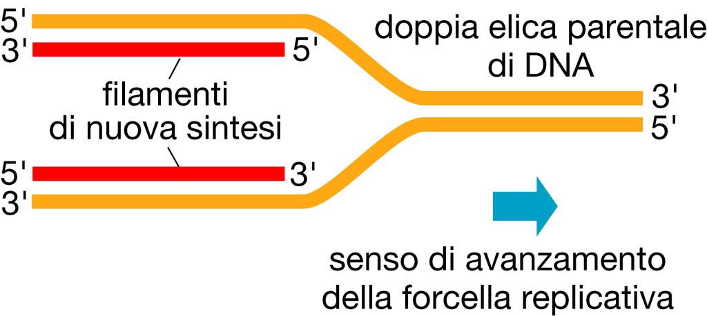 La forcella