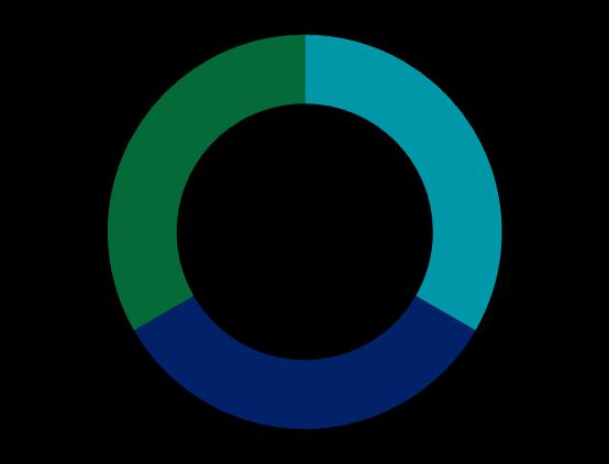 La ricerca dell eccellenza operativa Il punto di vista Deloitte Linee guida e obiettivi In considerazione dei profondi cambiamenti in corso, soprattutto in termini di gestione e controllo sugli