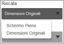 Scegliere le dimensioni dell immagine: dimensioni originali o a tutto