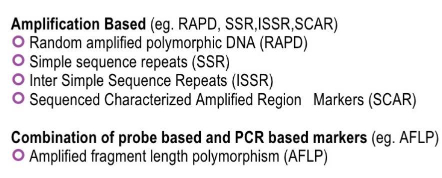 Marker basati su PCR in base al