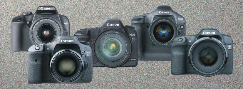 Test 5 Canon al confronto del rumore Dopo cinque Nikon mettiamo a confronto cinque Canon con la possibilità di confrontare le due marche: Eos 5D Mark II, Eos 1D Mark IV, Eos 7D, Eos 50D e Eos 1000D.