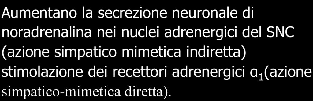 Amfetamine Aumentano la secrezione neuronale di noradrenalina nei nuclei adrenergici del SNC (azione