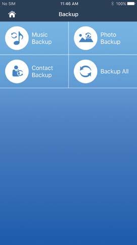 Con il prodotto Lexar compatibile con ios collegato, dalla schermata Home tocca Backup, quindi Backup di musica,