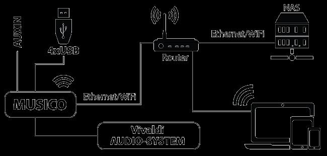 Ingressi Audio: 1x Audio analogico Uscite Audio: 1x Audio analogico, 2x Audio analogico bilanciato Sorgenti locali: 4x USB Formati audio: FLAC, Alac, Aac, Vorbis, Mp3, DSD ecc.