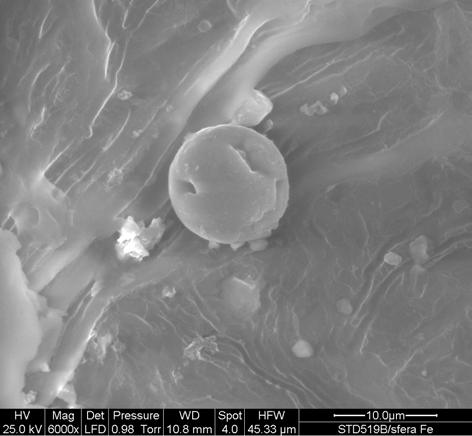 15b. Immagine ESEM ad alto ingrandimento di una sferula da 10 micron fotografata in SED.