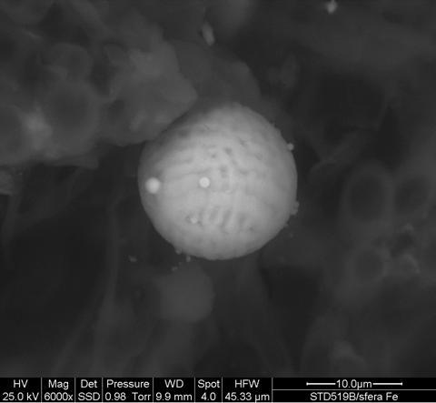 19b. Immagine ESEM ad alto ingrandimento di sferule da 0,2 a 10 micron fotografate in SED.